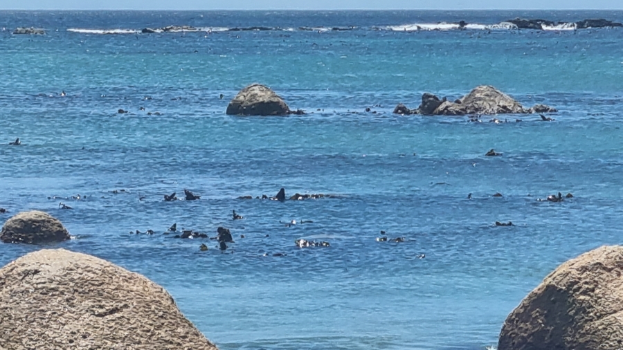 2 Bedroom Property for Sale in St Helena Views Western Cape